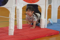Highslide JS