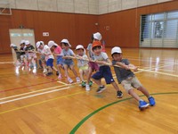 Highslide JS