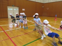 Highslide JS